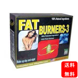 FAT-BURNERS―3 超級脂肪燃焼弾